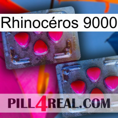 Rhinocéros 9000 14